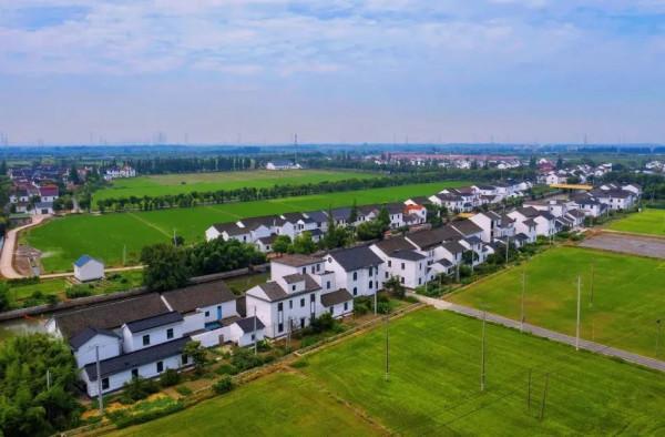 走,到練塘徐練村打卡去 走,到練塘徐練村打卡去