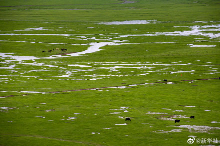 走進世界的香格里拉 走進世界的香格里拉