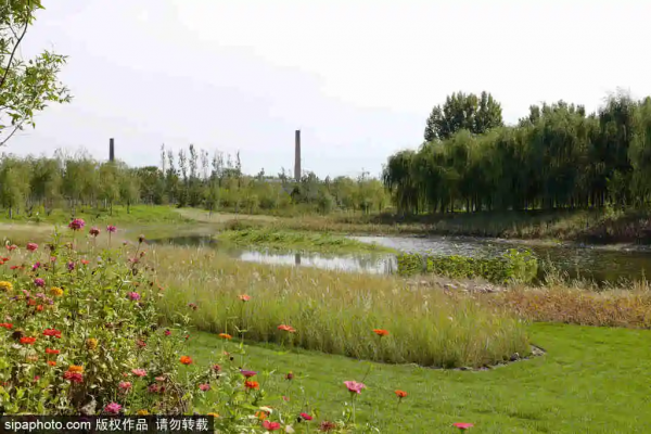 中秋沒搶到票？環球影城周邊超多免費“巨無霸”公園任你逛！