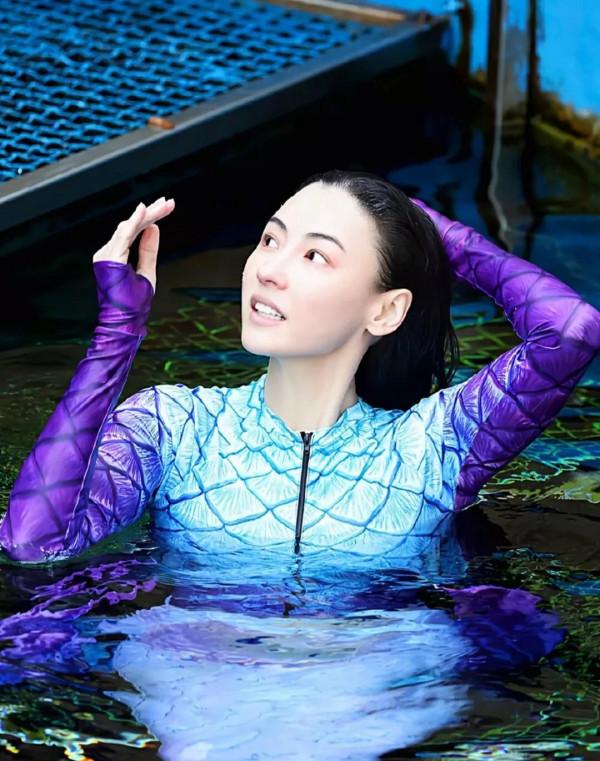 不一樣的張柏芝