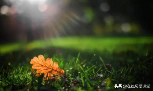 男人頂級的修養:窮不怪父,苦不怨妻,氣不兇孩 男人頂級的修養:窮不怪父,苦不怨妻,氣不兇孩