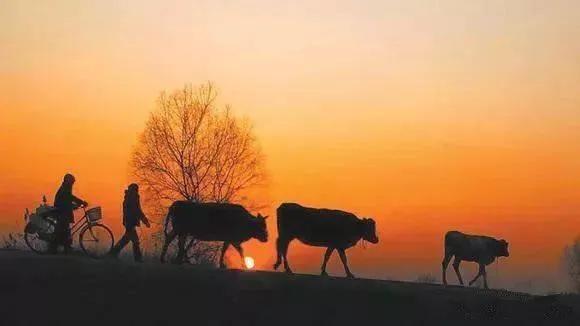 《偶夢》2021.10.29