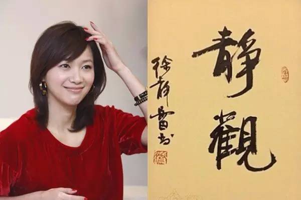 徐靜蕾的父親徐子建：為女兒婚事糾結，最大心願就是當岳父做姥爺
