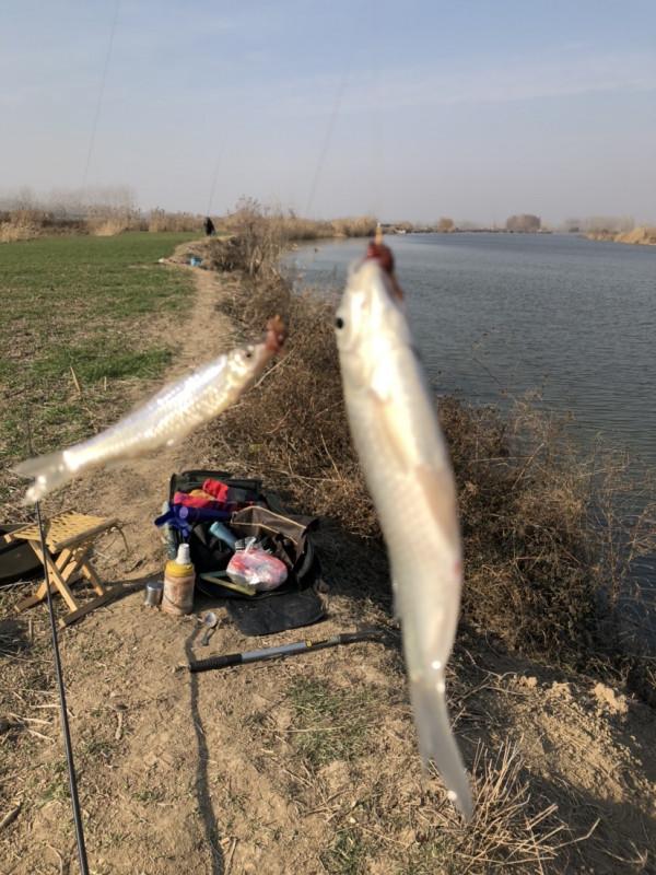 冰封天凍又何妨，漁者之樂有鯽相伴