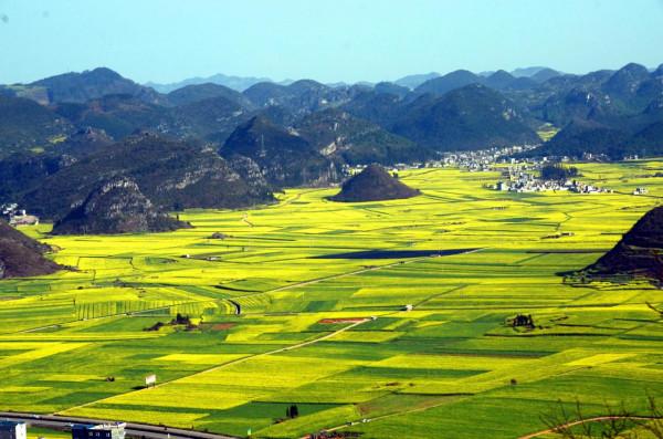 分享—十萬大山風光