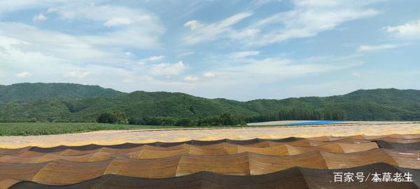 人參產業之尷尬:中國人參出口價不低韓國人參的十分之一 人參產業之尷尬:中國人參出口價不低韓國人參的十分之一