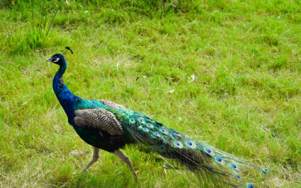 【我們的節日】預備!一起出發~ 【我們的節日】預備!一起出發~