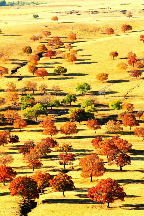 紅色才是中國秋天的主打色！這17處楓葉觀賞地，總有一個能驚豔你