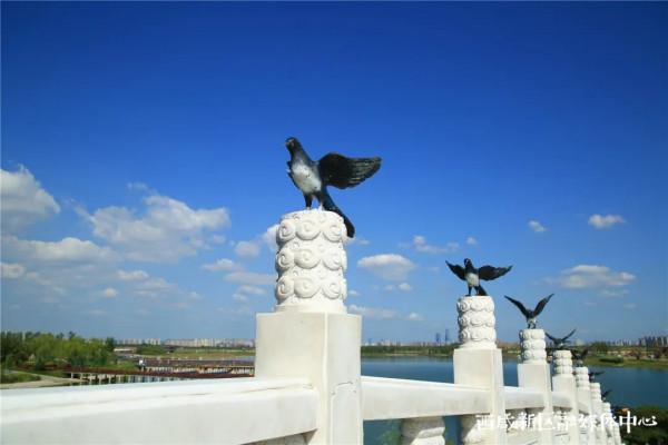 這裡，是西鹹新區！