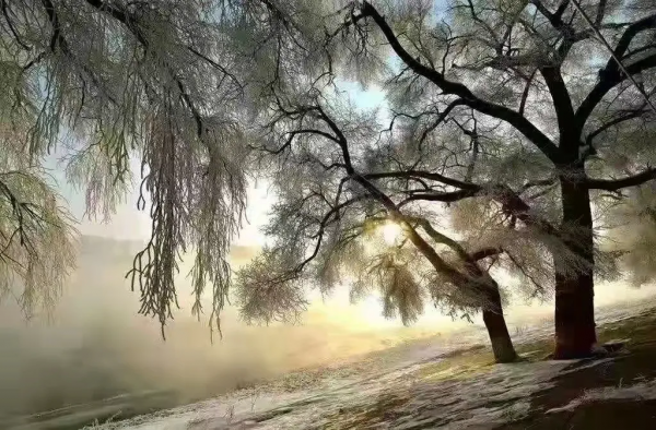 冬日仙境 奇景霧凇再扣古城門