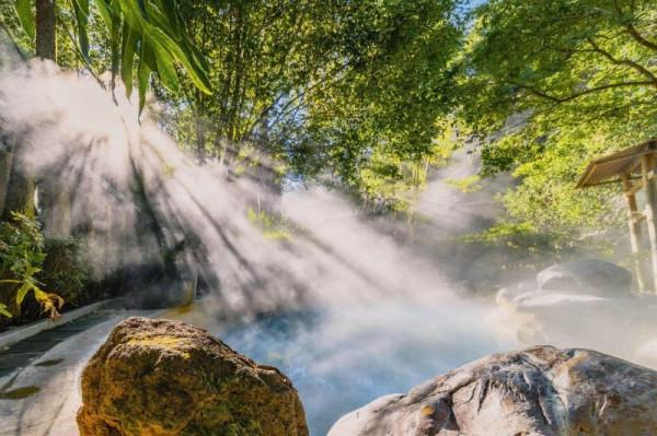 七夕 | 來自七彩雲南的一封情書 七夕 | 來自七彩雲南的一封情書