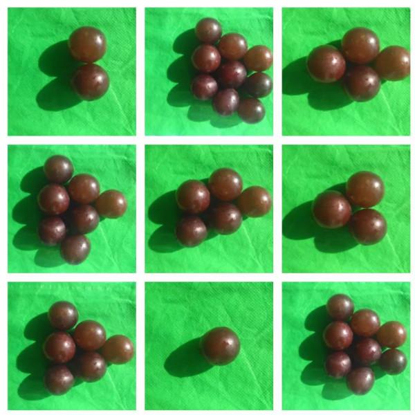 請為你上小學的寶寶保留