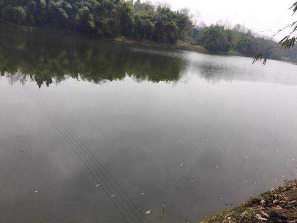 風餐露宿戲“花妹”，臨溪下餌為怡心