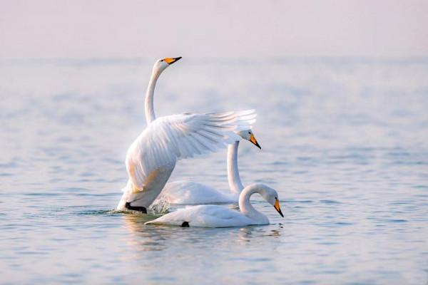 來新疆,別光顧著看雪啦!還有更好的美景在等你 來新疆,別光顧著看雪啦!還有更好的美景在等你