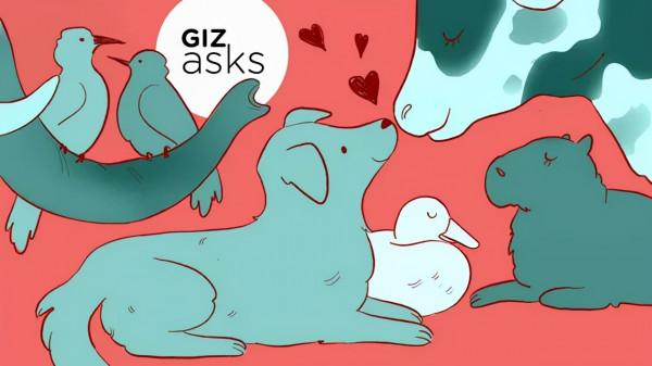 跨物種的友誼:哪些動物之間相處得最好? 跨物種的友誼:哪些動物之間相處得最好?