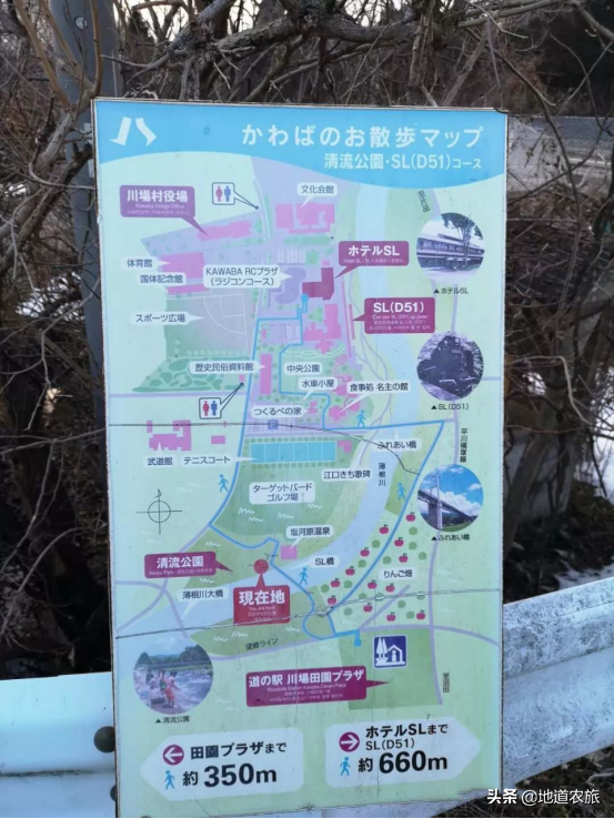 城鄉融合,成為鄉村振興的典範,看她怎麼做? 城鄉融合,成為鄉村振興的典範,看她怎麼做?