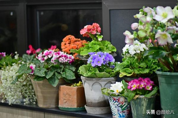 萬物起始，立春暖陽下，等待花園甦醒 &vert; 園丁