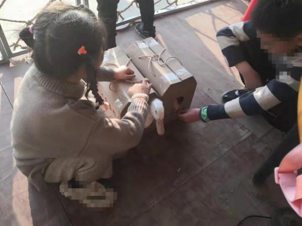 鄉村旅遊,大有可為 鄉村旅遊,大有可為