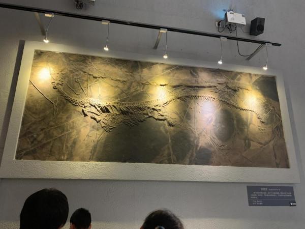 遊～山西地質博物館