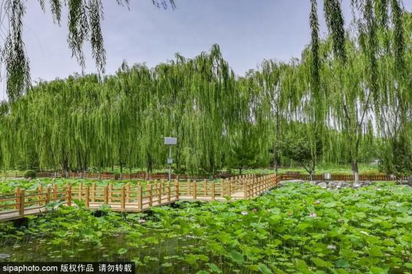 野趣十足!抓住假期尾巴!來家門口這些郊野公園溜達 野趣十足!抓住假期尾巴!來家門口這些郊野公園溜達