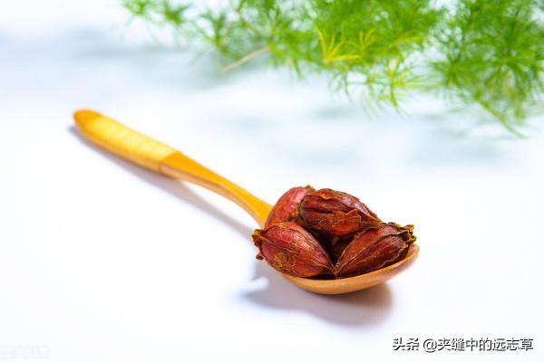 脂肪肝？送你七味中藥，清熱利溼，健脾祛痰