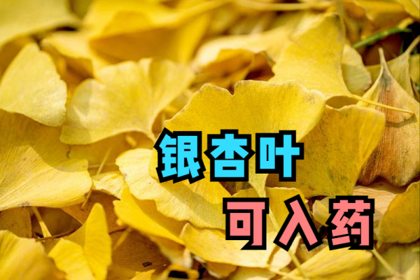 鼻炎，鼻竇炎反反覆覆？送你2箇中醫調理的思路，減少復發