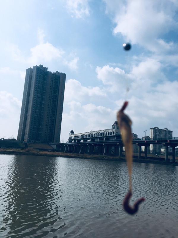 用老婆的菜籃子裝新年的第一&OpenCurlyDoubleQuote;金&rdquo;