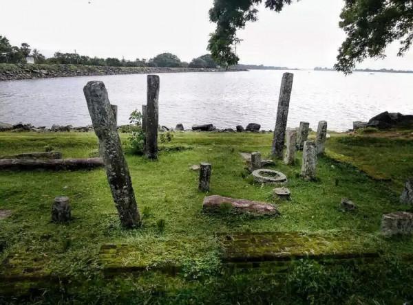 斯里蘭卡--回味無窮的青橄欖