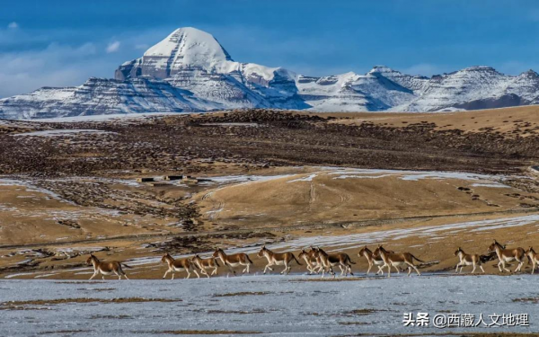 雪後的岡仁波齊是天堂 雪後的岡仁波齊是天堂