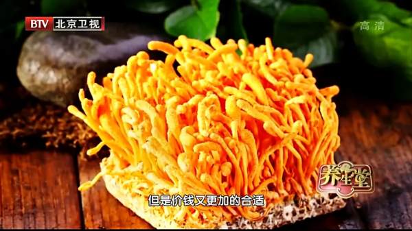 研究癌症50年，79歲腫瘤專家提醒：防癌先養肝！早餐這樣吃，護肝