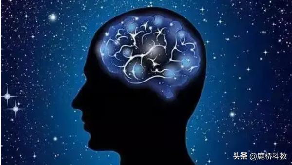 改造DNA,讓孩子更聰明 改造DNA,讓孩子更聰明