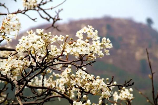 深山藏古寺，踏著初春的氣息，尋找心中的詩與遠方~