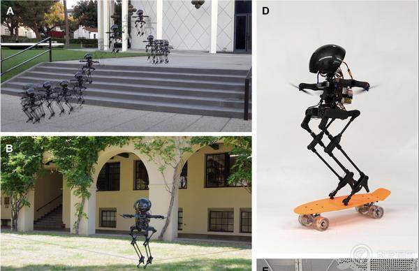 人形機器人“成精”了!能走鋼絲,還能飛天,未來將替代人類從事危險作業 人形機器人“成精”了!能走鋼絲,還能飛天,未來將替代人類從事危險作業