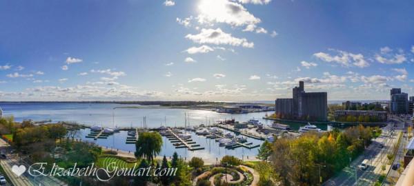 多倫多DT短期專案記錄