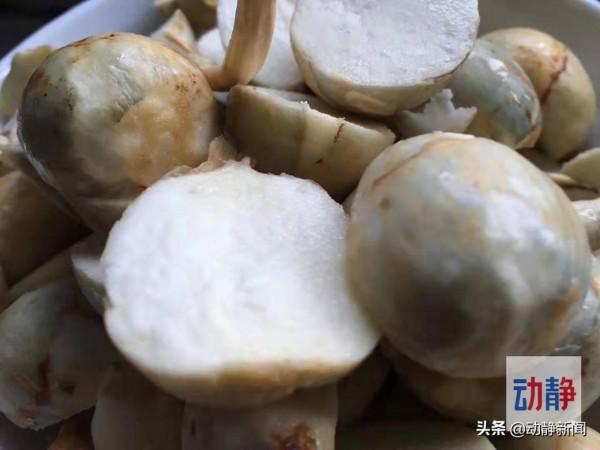 逛吃貴州丨茨菇有“格”，不僅因其味美而香，更源於曾救饑民於荒年之“慈”