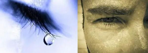 百萬年前的社交必需品——眉毛進化史