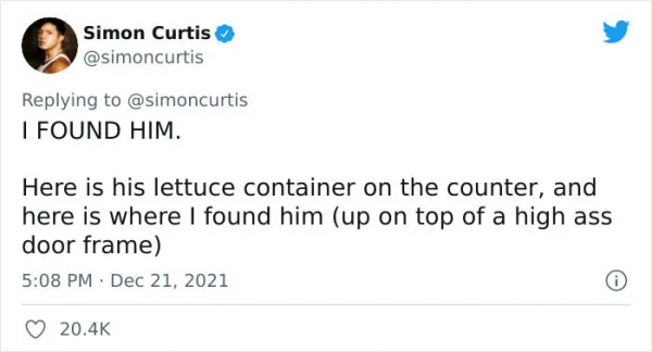 小哥在沙拉里發現了一隻小青蛙後，在網上直播起了養蛙生活