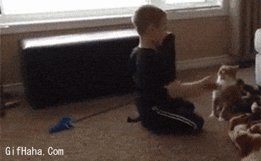 老人遛狗見貓鄰居暖心打招呼,出奇不意的溫暖,給人滿滿的正能量 老人遛狗見貓鄰居暖心打招呼,出奇不意的溫暖,給人滿滿的正能量