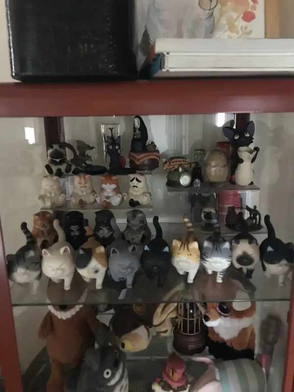 家裡有片雨林是什麼樣的體驗？帶你走進我的室內花園