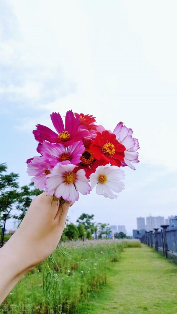 你的慾望配得上你的能力嗎? 你的慾望配得上你的能力嗎?