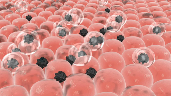 科普 | 九肽-1到底是什麼神仙成分