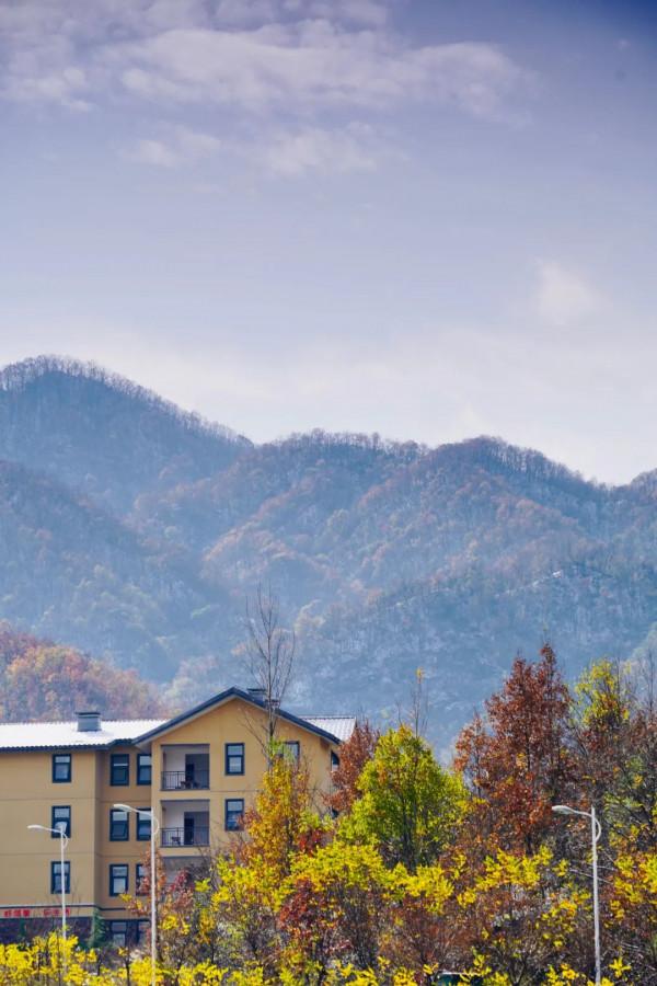 走!伏牛山裡過“彩冬” 走!伏牛山裡過“彩冬”