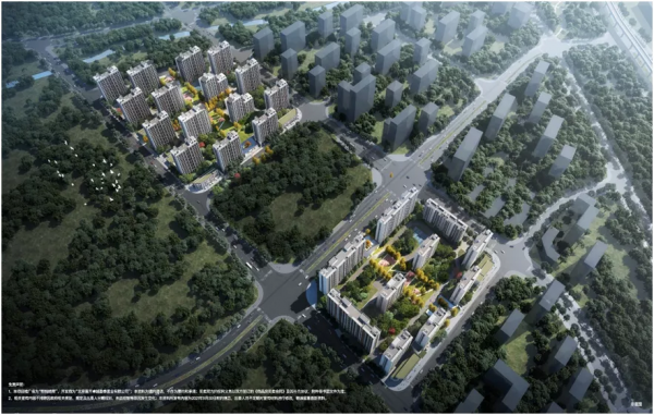 2021四大名旦：品質改善高配“紅”