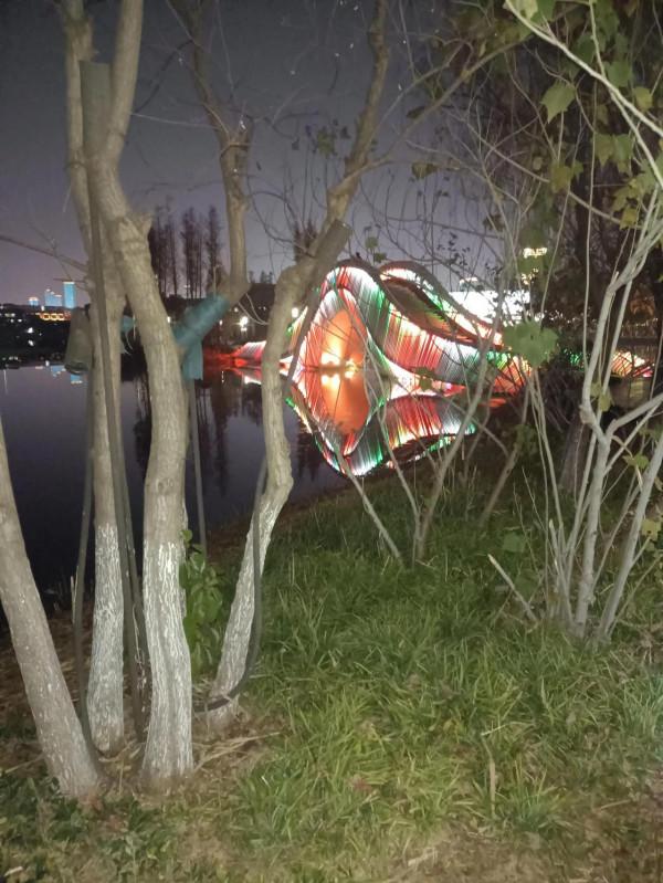 美麗的後湖夜晚