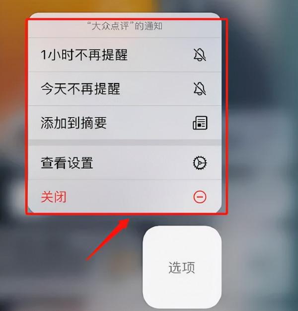 「技巧」iOS 15的這些新功能，你真的會使用嗎？