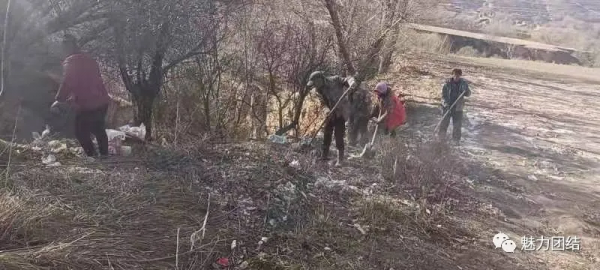 【七清兩提升一凝聚】團結鎮：美麗鄉村按下“快進鍵”