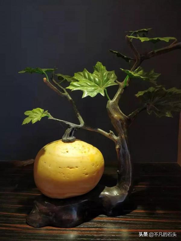 欣賞蒐集奇石系列（九）