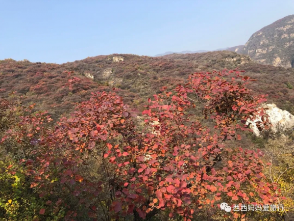 遊房山坡峰嶺 看萬山紅遍