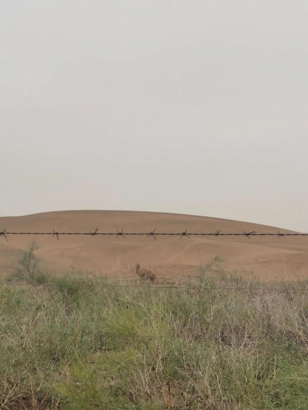 每一種生活都值得敬仰:神奇的大西北 每一種生活都值得敬仰:神奇的大西北