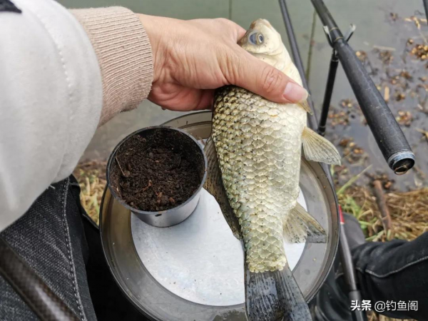 別怪天氣不好，是你選錯了位置！牢記春季出釣最重要的2件事